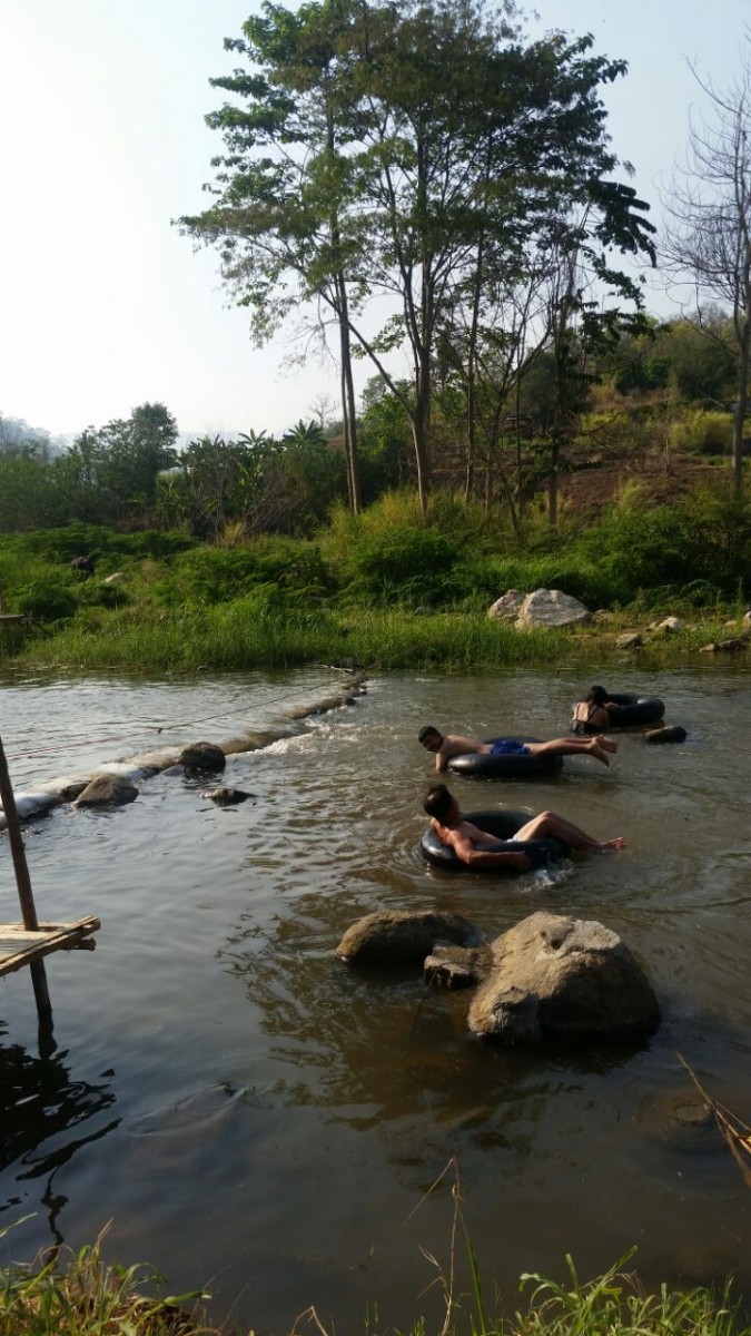 Bamboo Bridge River In Pai